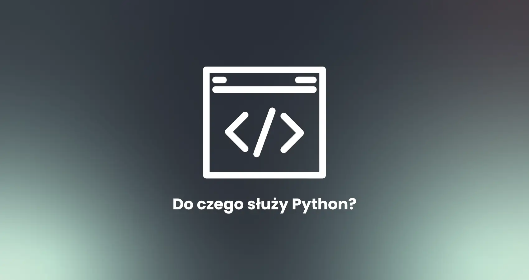 Do czego służy Python? Zastosowanie języka programowania Python